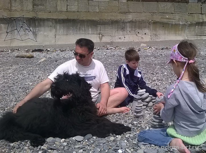 Adam Racy Style ZEUS